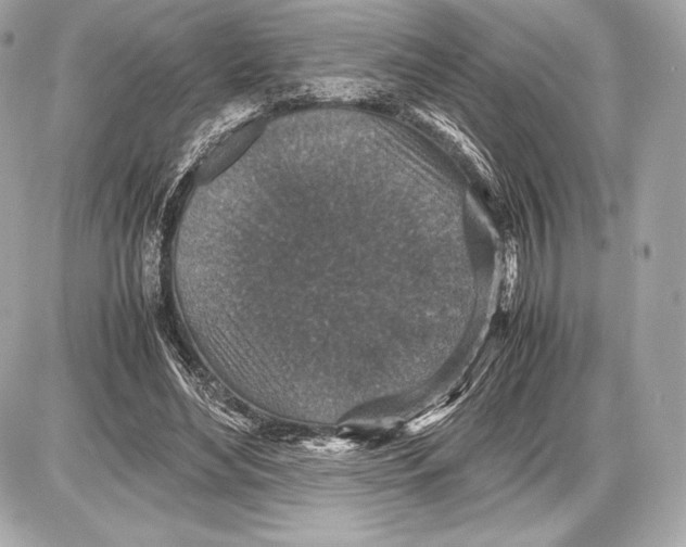 X0000085810492200704091610