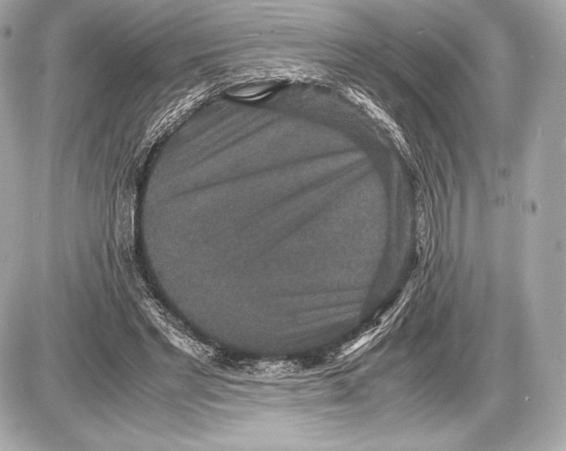 X0000085810493200704091610