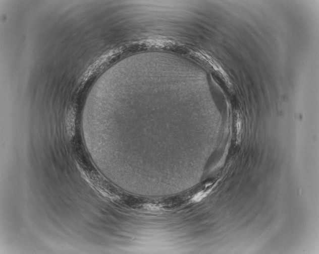 X0000085810496200704091610