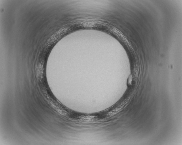 X0000085810497200704091610