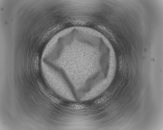 X0000085810498200704091610