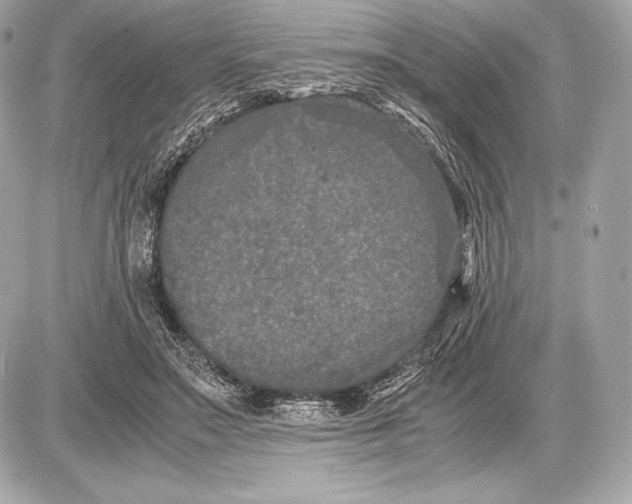 X0000085810499200704091610