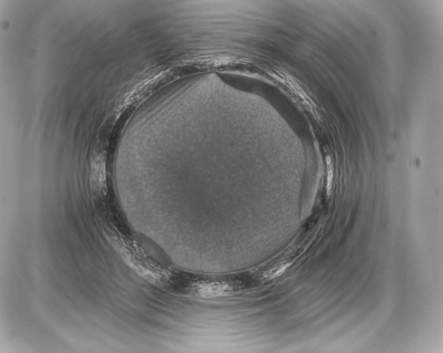 X0000085810500200704091610