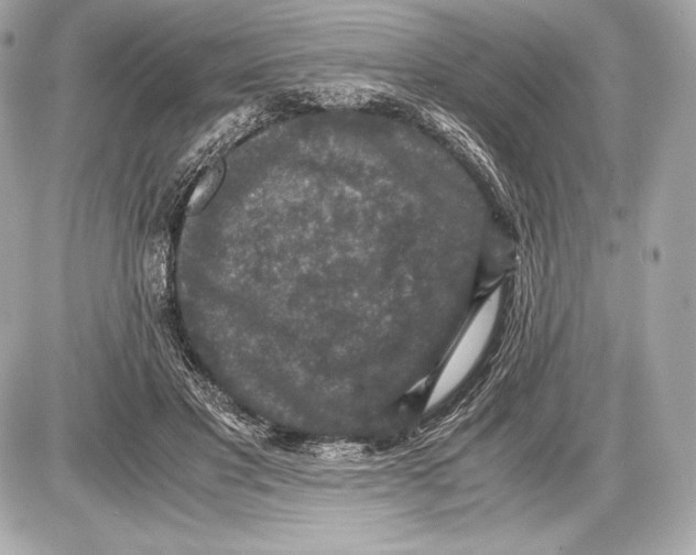 X0000085810501200704091610