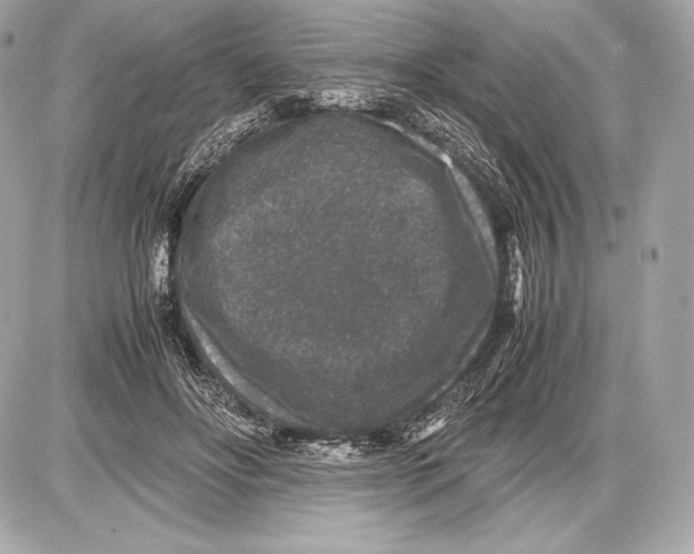 X0000085810502200704091610