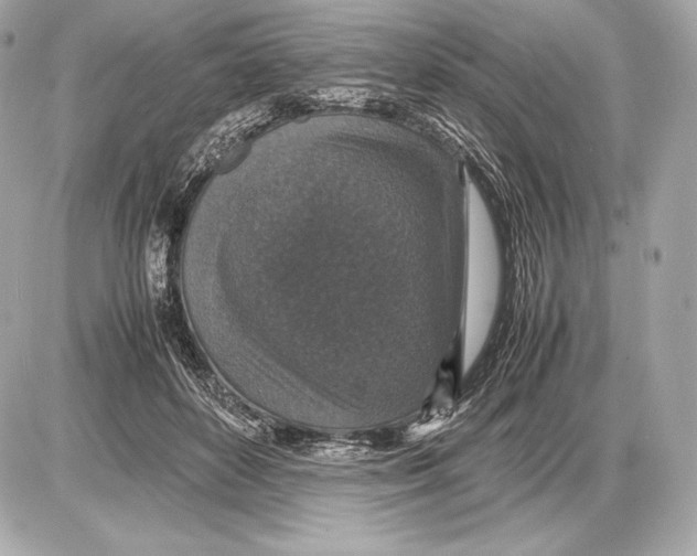 X0000085810504200704091610