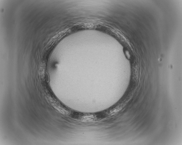 X0000085810505200704091610