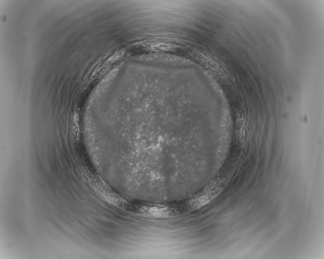 X0000085810506200704091610