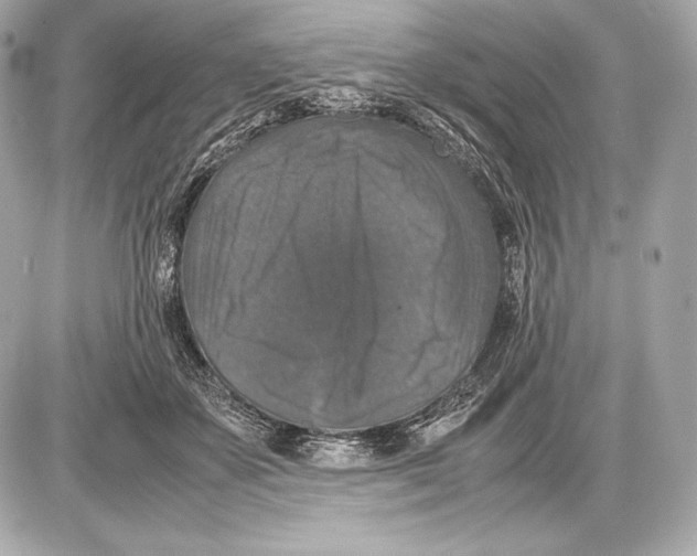 X0000085810507200704091610