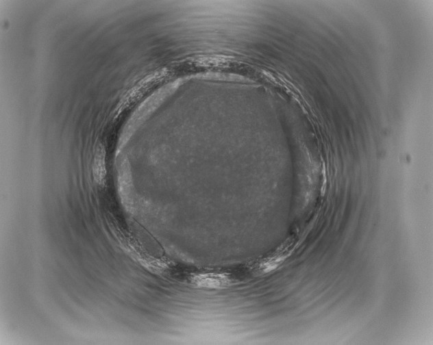 X0000085810508200704091610