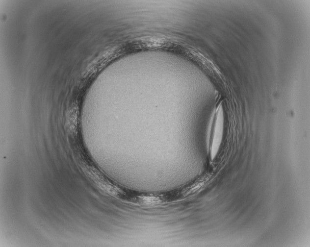 X0000085810509200704091610