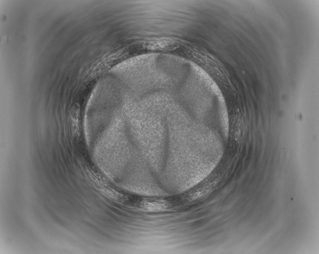 X0000085810510200704091610