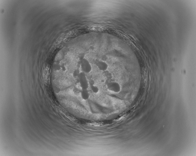 X0000085810511200704091610