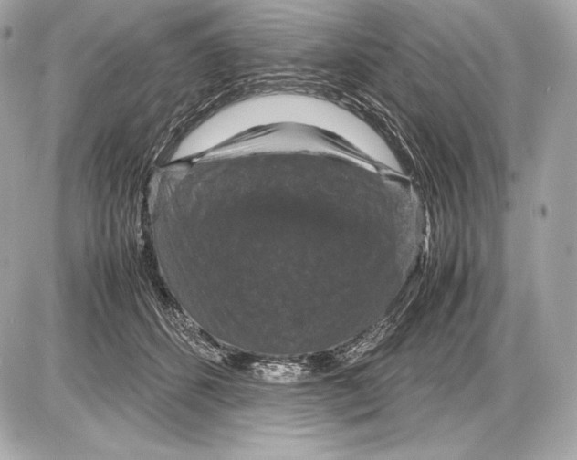 X0000085810512200704091610