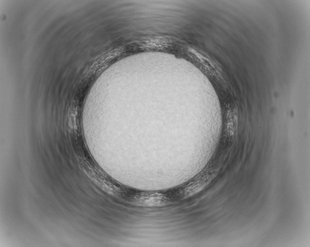 X0000085810514200704091610