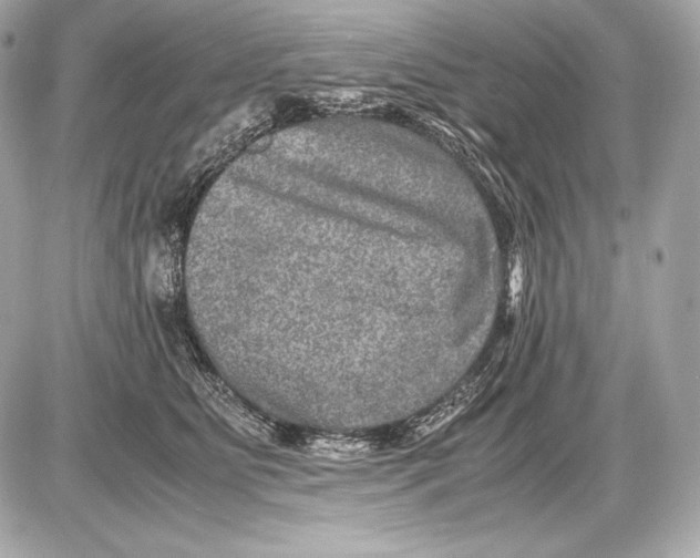 X0000085810515200704091610