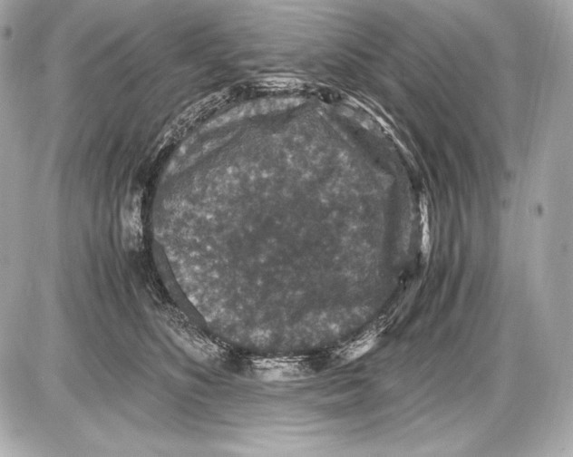 X0000085810516200704091610