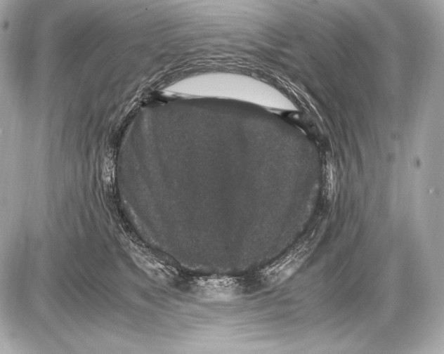 X0000085810517200704091610