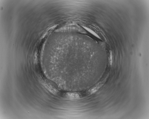 X0000085810520200704091610