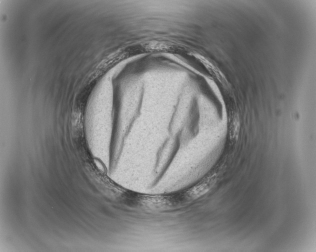 X0000085810521200704091610