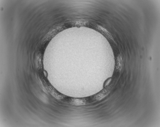 X0000085810522200704091610