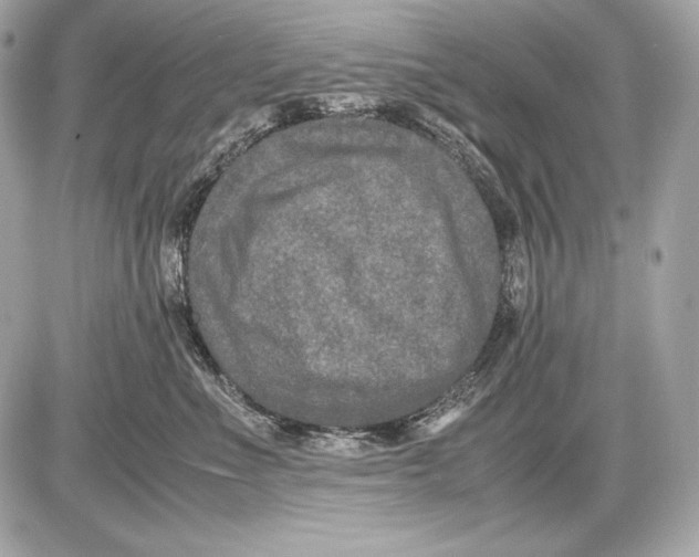 X0000085810523200704091610