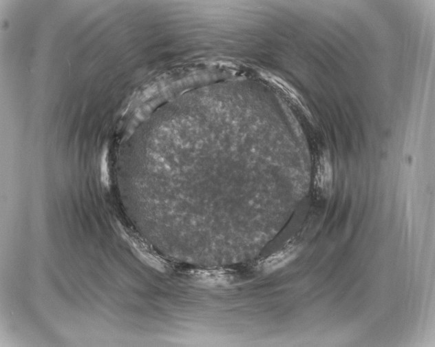 X0000085810524200704091610