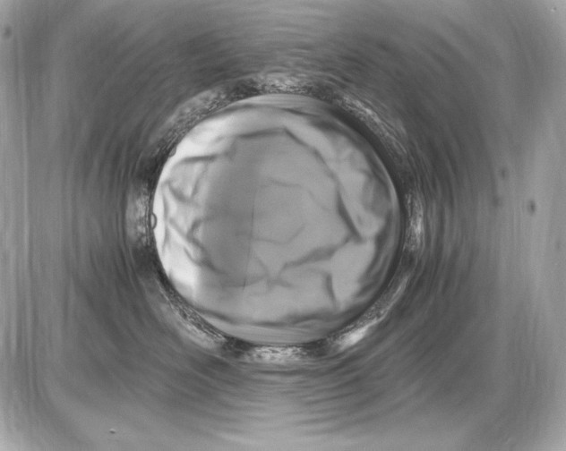 X0000085810526200704091610