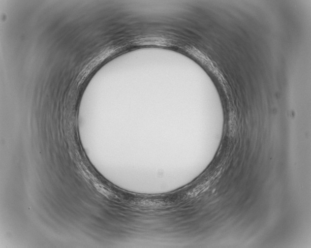 X0000085810529200704091609