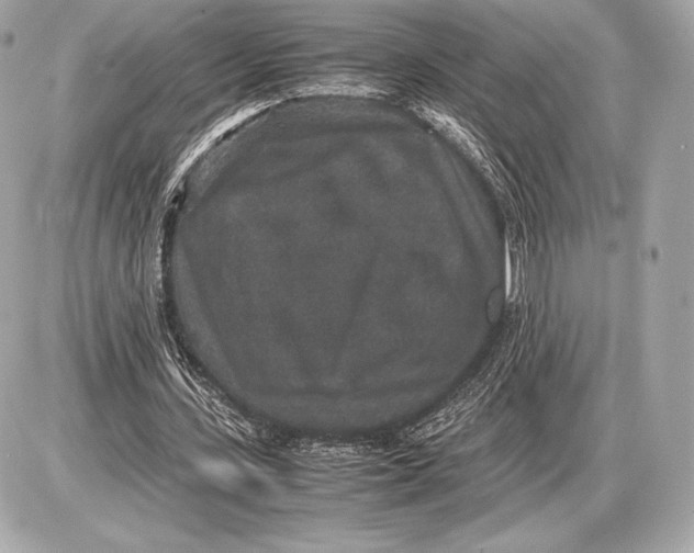 X0000085810531200704091609