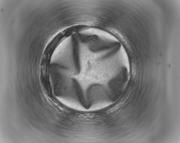 X0000085810532200704091609