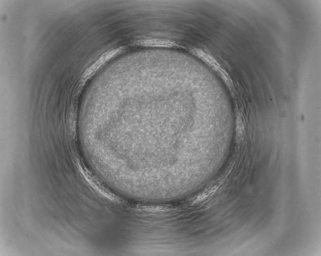 X0000085810533200704091609