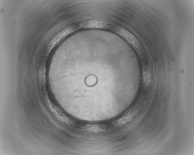 X0000085810534200704091609