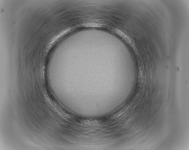 X0000085810535200704091609