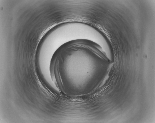 X0000085810536200704091609