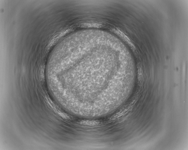 X0000085810537200704091609