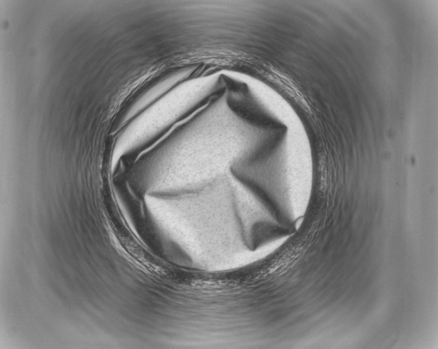 X0000085810538200704091609