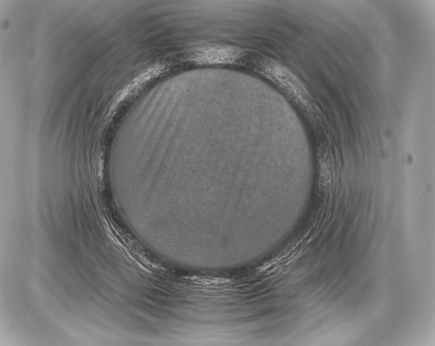 X0000085810539200704091609