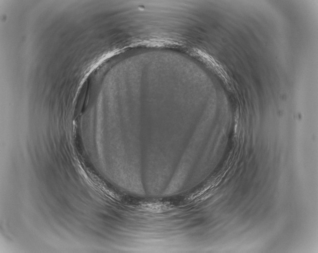 X0000085810540200704091609