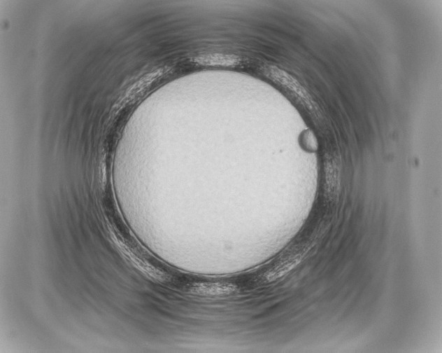 X0000085810541200704091609