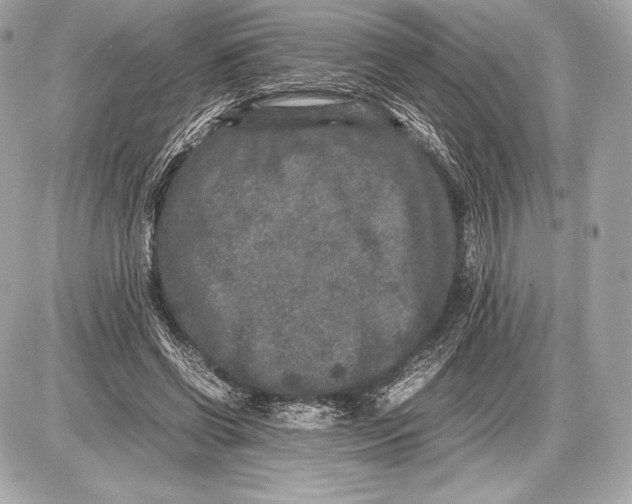 X0000085810542200704091609