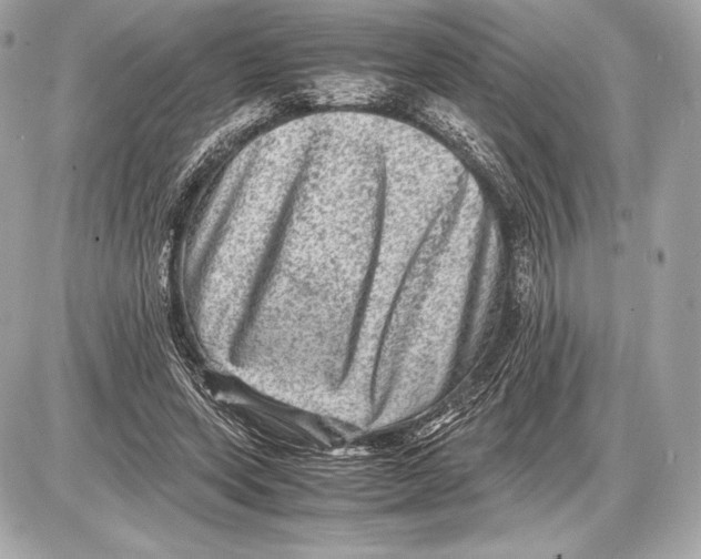 X0000085810543200704091609