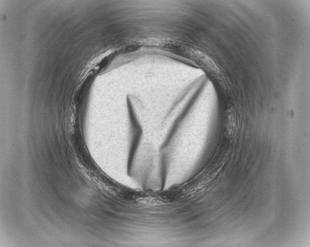 X0000085810544200704091609