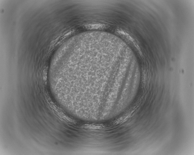 X0000085810545200704091609