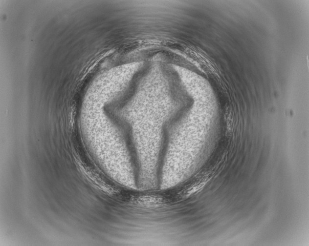 X0000085810546200704091609