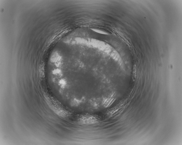 X0000085810547200704091609