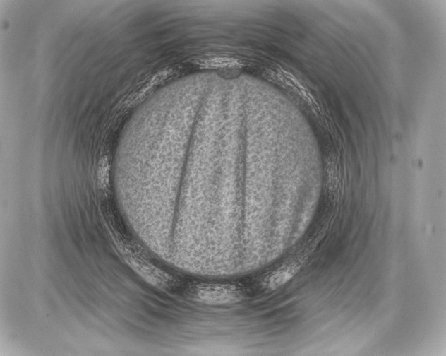 X0000085810549200704091609