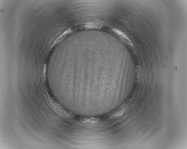 X0000085810550200704091609