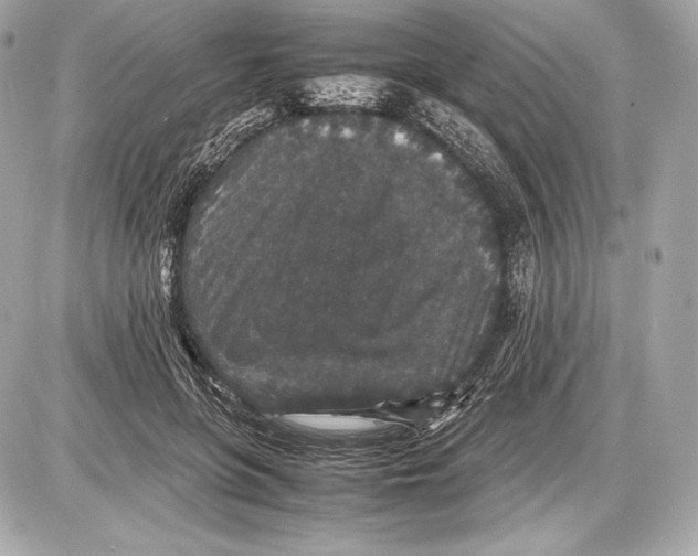 X0000085810551200704091609