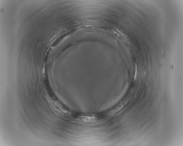 X0000085810552200704091609